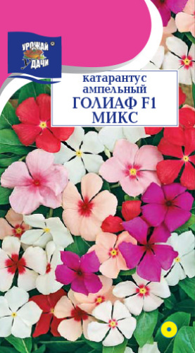 Катарантус Голиаф Микс