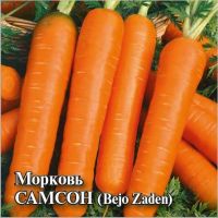 Морковь Самсон 10г (Голландия) купить