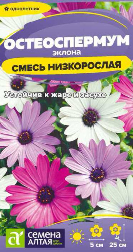 Остеоспермум Смесь эклона низкорослая