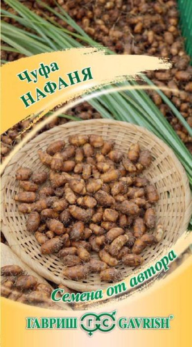 Чуфа Нафаня 