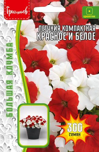 Петуния Красное и Белое компактная