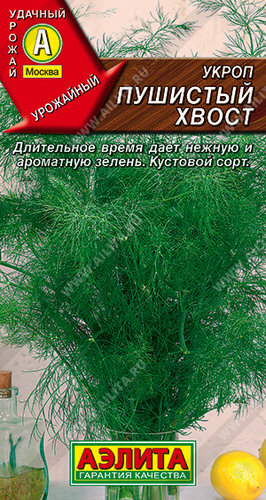 Укроп Пушистый хвост 