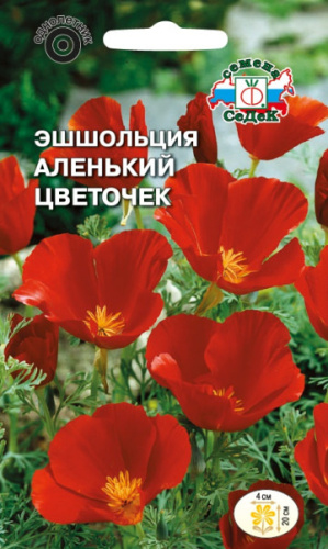 Эшшольция Аленький цветочек калифорнийская