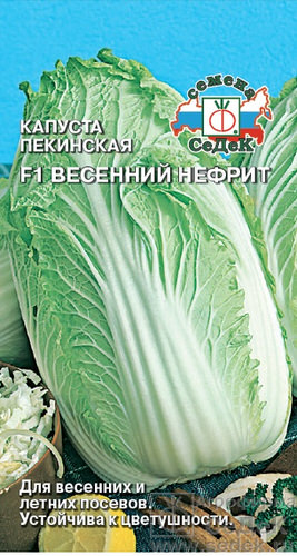 Капуста (пекинская) Весенний Нефрит 