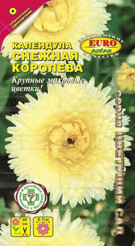 Календула Снежная Королева белая
