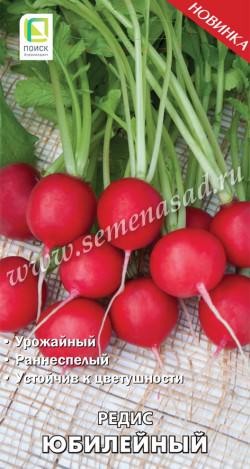 Редис Юбилейный