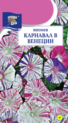Ипомея Карнавал в Венеции