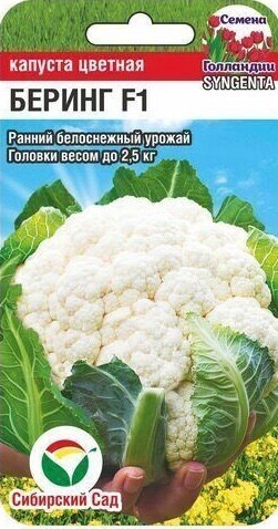 Капуста (цветная) Беринг F1