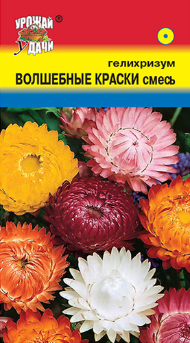 Гелихризум Волшебные Краски, смесь 