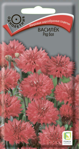 Василек Ред бол