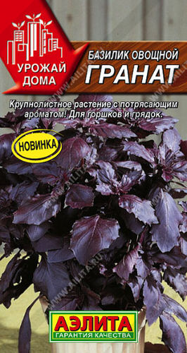 Базилик Гранат 