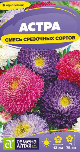 Астра Смесь Срезочных сортов