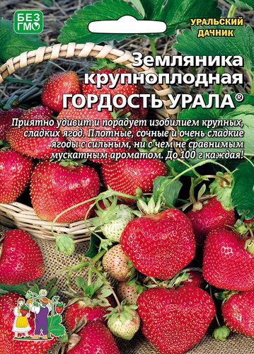 Земляника Гордость Урала 