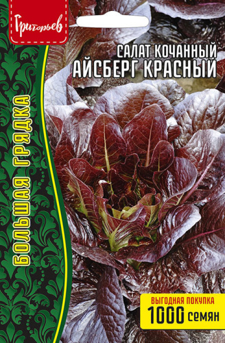 Салат Айсберг Красный кочанный