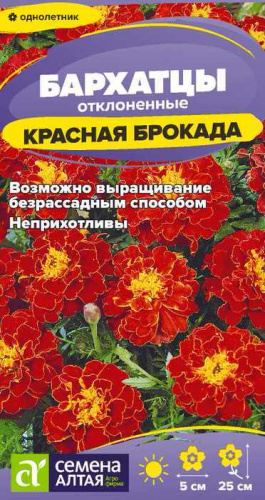 Бархатцы Брокада Красная откл. махр.