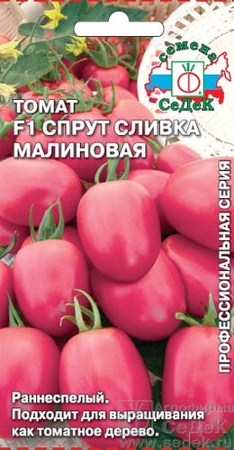 Томат Спрут сливка малиновая F1 