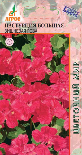 Настурция Большая Вишневая роза