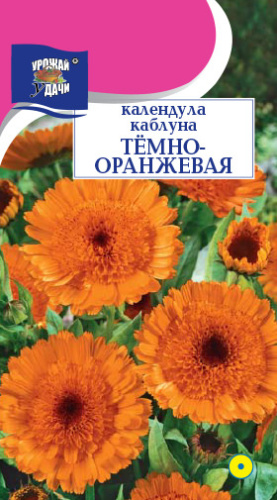 Календула Каблуна Темно-оранжевая махровая