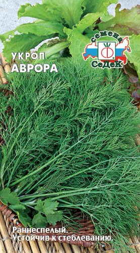 Укроп Аврора 