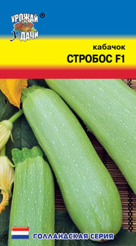 Кабачок Стробос F1 (тип Искандер)