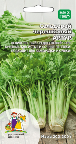 Сельдерей Артур черешковый