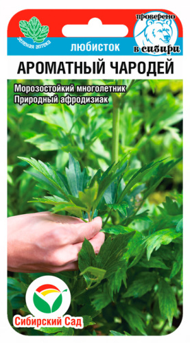 Любисток Ароматный чародей 