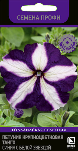 Петуния Танго F1 Синяя с белой звездой крупноцветковая