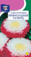 Астра Превосходный Гасфорд помпонная  купить