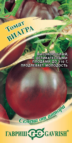 Томат Виагра шоколад.