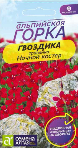 Гвоздика травянка Ночной Костер многолетник