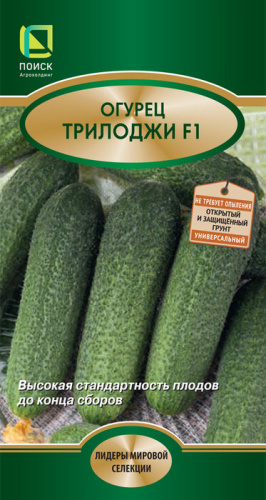 Огурец Трилоджи F1