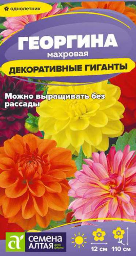 Георгина Декоративные гиганты 