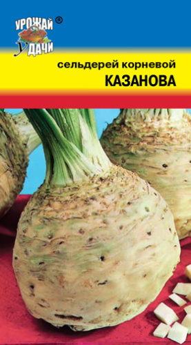 Сельдерей Казанова корневой