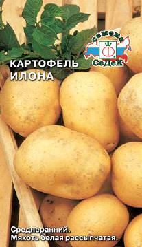 Картофель (семена) Илона 