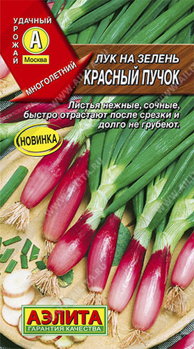 Лук Красный пучок, на зелень