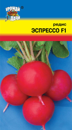 Редис Эспрессо F1 (18 дней) 