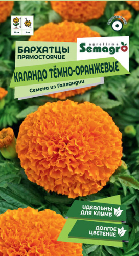 Бархатцы прямостоячие Каландо темно-оранжевые  