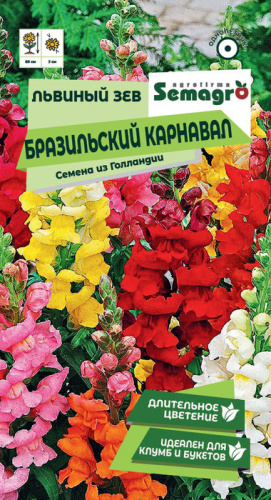 Львиный зев Бразильский карнавал