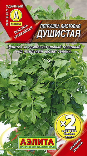 Петрушка Душистая листовая