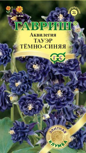 Аквилегия Тауер Темно- Синяя 