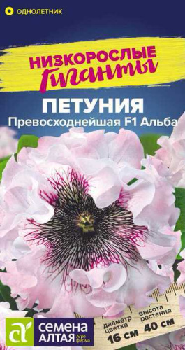 Петуния Превосходнейшая Альба 