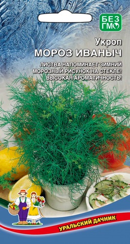 Укроп Мороз Иваныч