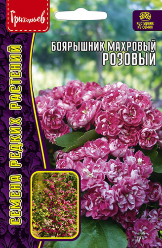 Боярышник махровый Розовый