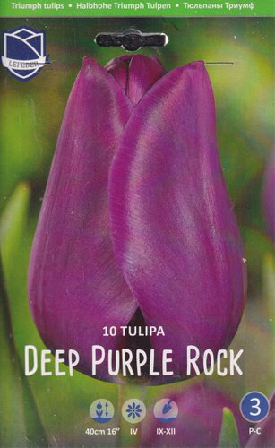 Тюльпан триумф "Deep Purple Rock" (1х10шт)