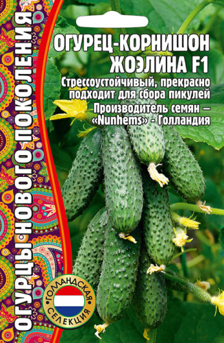 Огурец Жоэлина F1 Голландия