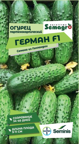 Огурец Герман F1 