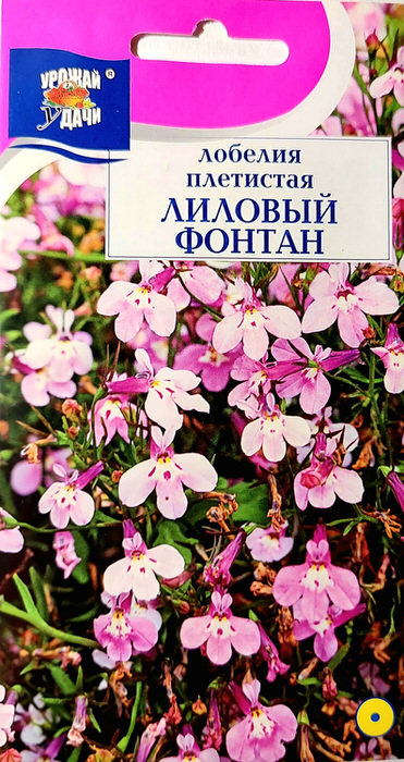 Лобелия Лиловый Фонтан плетистая 