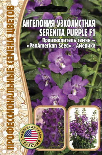 Ангелония Serenita Рurple F1 узколистная