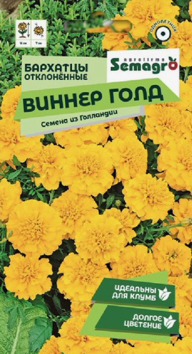 Бархатцы отклоненные Виннер Голд 
