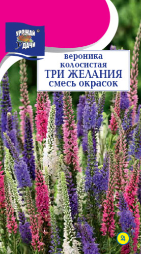 Вероника колосистая ТРИ ЖЕЛАНИЯ, смесь 